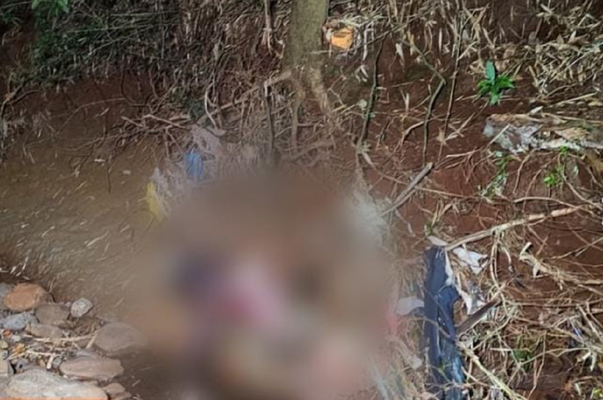 Polícia divulga nome de homem encontrado morto em fundo de vale Polícia divulga nome de homem encontrado morto em fundo de vale