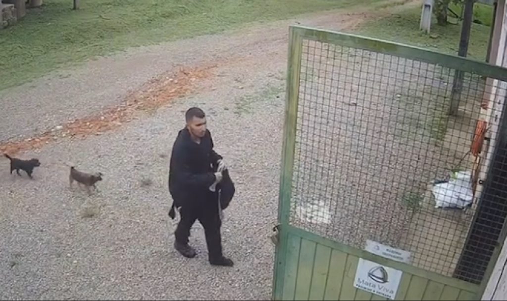 Veja o vídeo do momento em que desaparecido no Pico Paraná consegue pedir ajuda