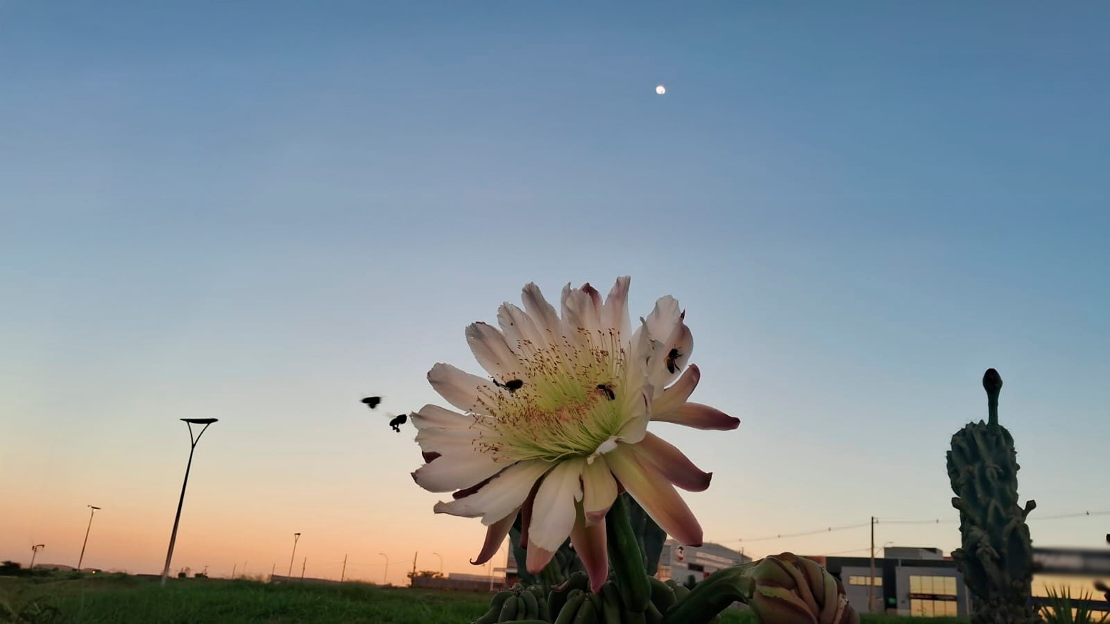 Vento gelado e sol quente marcam esta terça em Cascavel