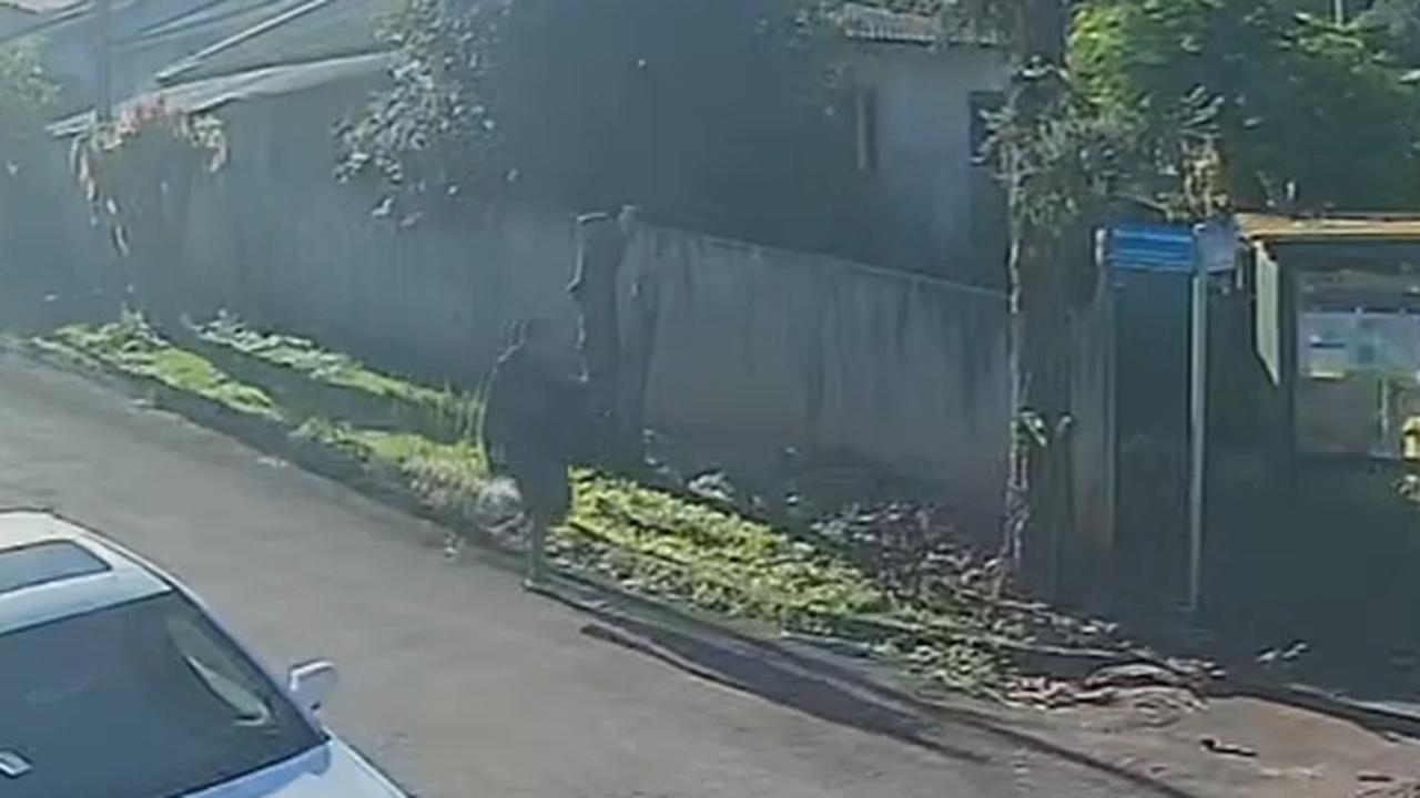 Câmera flagra suspeito carregando televisão furtada em Cascavel