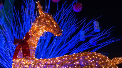 Prefeitura de Foz do Iguaçu suspende pagamento por decoração natalina e aguarda decisão do Tribunal de Contas