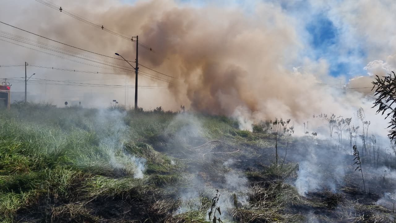 Fumaça toma conta da PR-486 e provoca visibilidade zero em Cascavel
