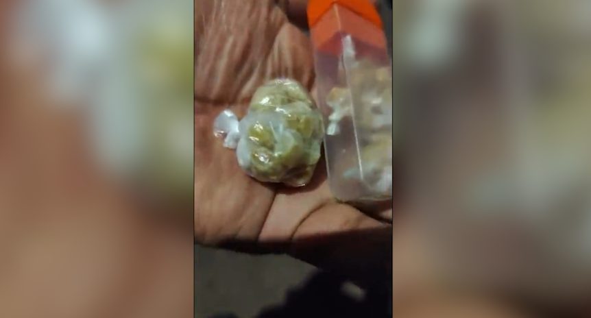 Ação do vereador Policial Madril e GM resulta em apreensão de drogas no Interlagos; Veja abordagem