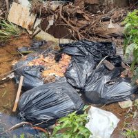 Imagem referente a Descarte de carne podre causa transtornos aos moradores do Bairro Neva