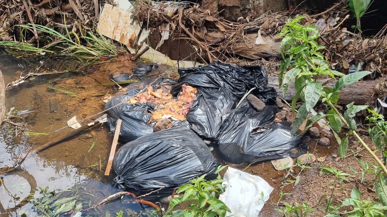 Descarte de carne podre causa transtornos aos moradores do Bairro Neva Descarte de carne podre causa transtornos aos moradores do Bairro Neva