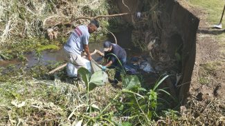 Após denúncia publicada pela CGN, voluntários recolhem carne descartada irregularmente em rio no Bairro Neva Após denúncia publicada pela CGN, voluntários recolhem carne descartada irregularmente em rio no Bairro Neva