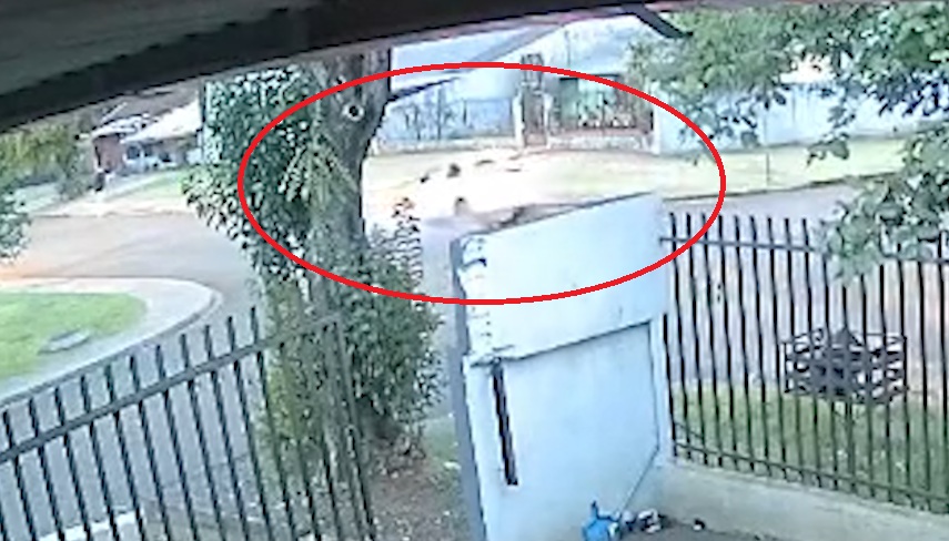 Câmera flagra batida que deixou duas pessoas feridas no Bairro Cascavel Velho