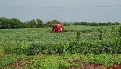 Imagem referente a Saveiro voa, parte poste ao meio e deixa homem morto na PR-180 