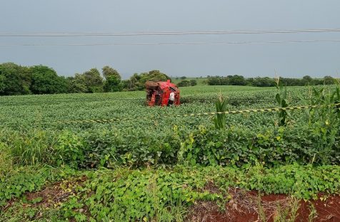 Saveiro voa, parte poste ao meio e deixa homem morto na PR-180 Imagem referente a Saveiro voa, parte poste ao meio e deixa homem morto na PR-180