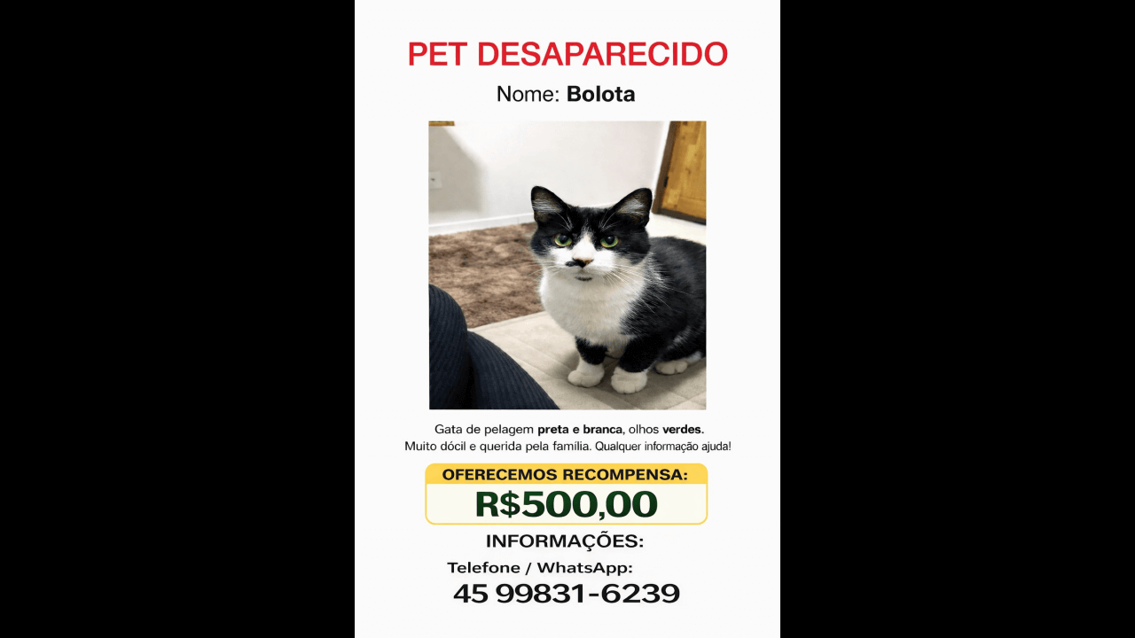 Gata Bolota desapareceu no bairro Jardim Siena