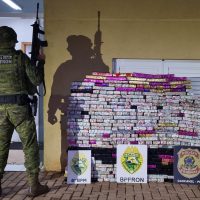 Imagem referente a Perseguição na BR-277 termina com quase meia tonelada de maconha apreendida