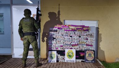 Imagem referente a Perseguição na BR-277 termina com quase meia tonelada de maconha apreendida