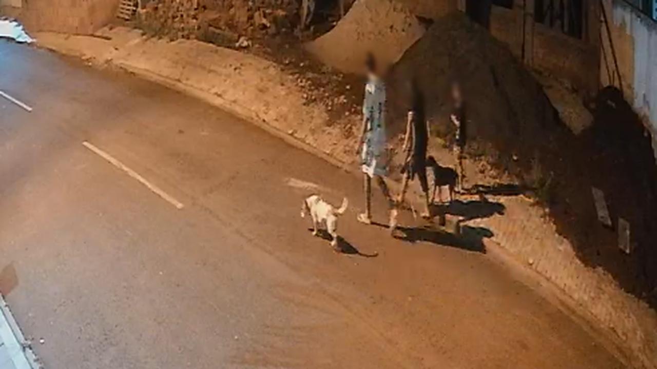 Cachorro é deixado amarrado em construção no Bairro Esmeralda Cachorro é deixado amarrado em construção no Bairro Esmeralda