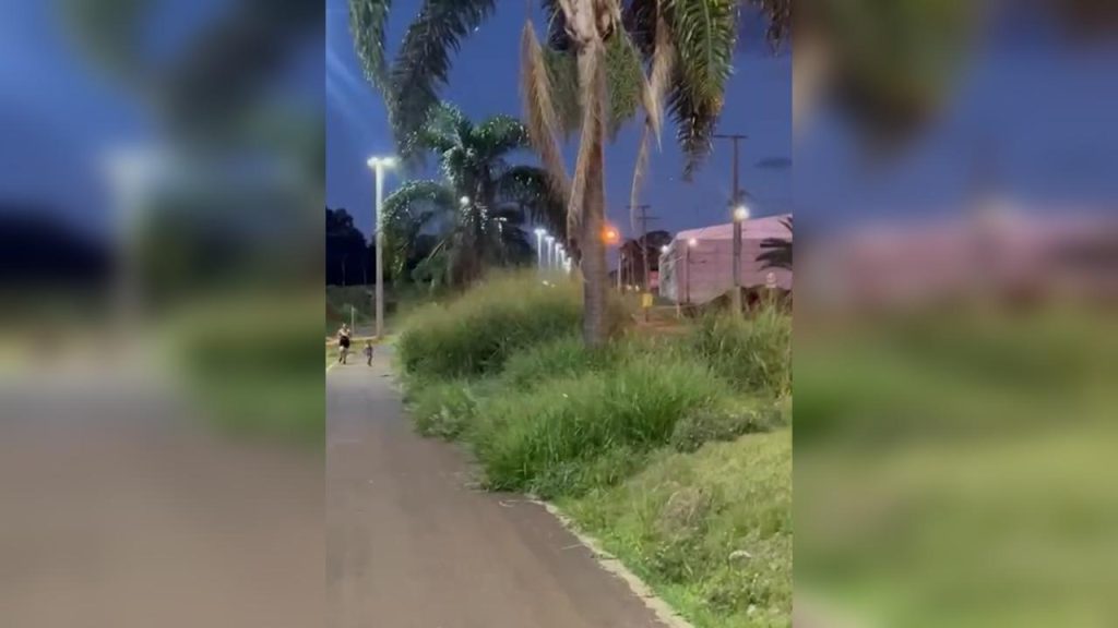 Morador reclama de matagal em canteiro central da Avenida Piquiri Morador reclama de matagal em canteiro central da Avenida Piquiri