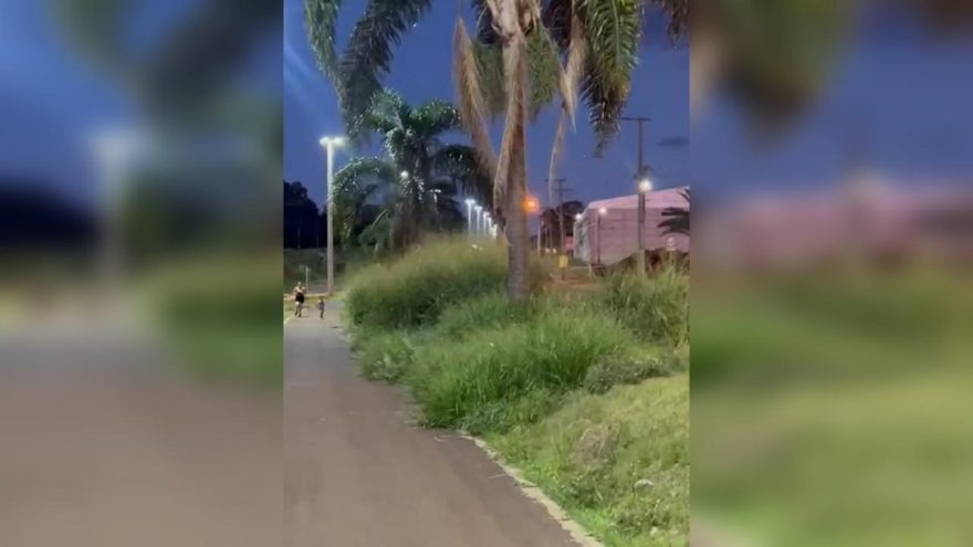 Morador reclama de matagal em canteiro central da Avenida Piquiri