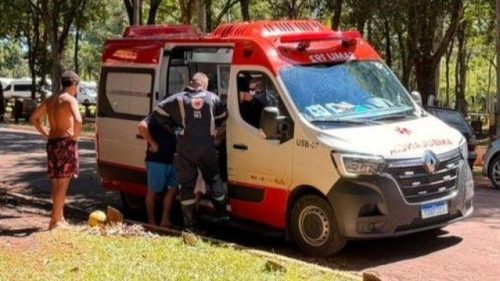 Criança fica ferida após ataque de piranha em balneário de Santa Helena Criança fica ferida após ataque de piranha em balneário de Santa Helena