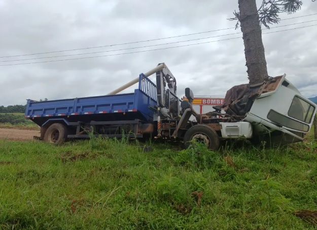 Caminhão de empresa bate em árvore e motorista morre preso nas ferragens em SC