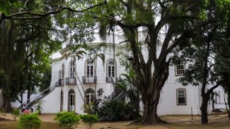 Museus da Funarj aderem à rede antirracista do Instituto Pretos Novos
