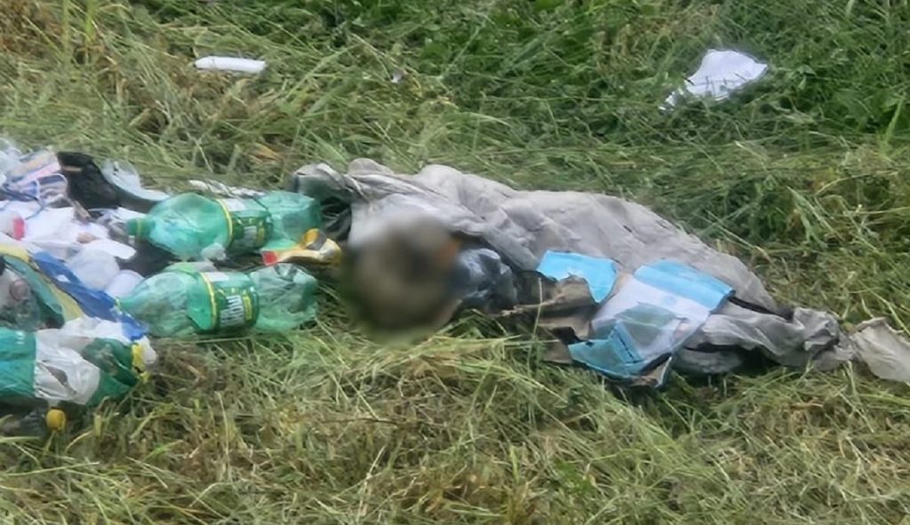 Homem vai cortar grama e encontra crânio humano em terreno