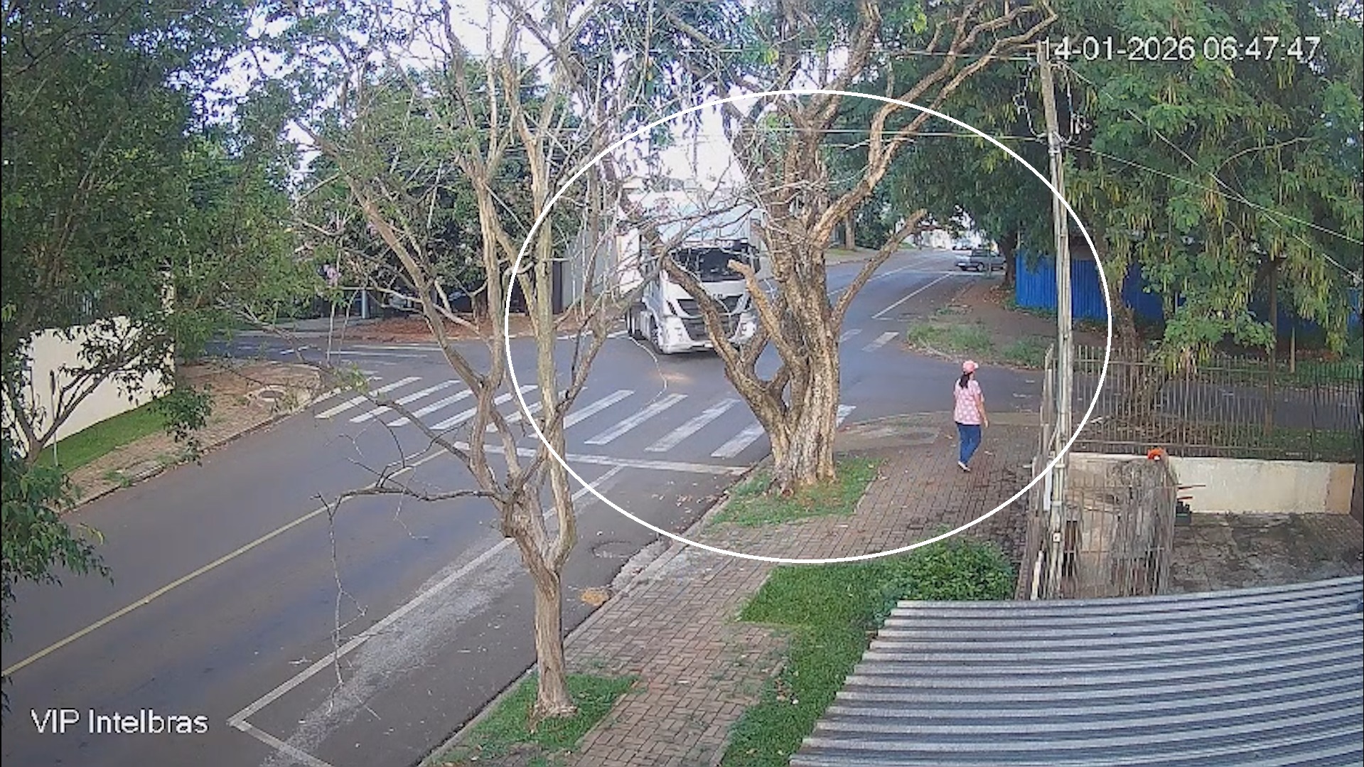 Caminhão enrosca em árvore e mulher quase é atingida em Cascavel Caminhão enrosca em árvore e mulher quase é atingida em Cascavel