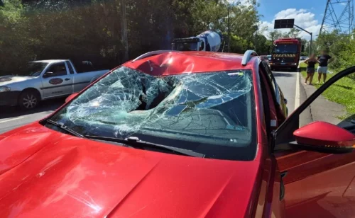 Idoso de bicicleta morre na hora após ser atropelado por carro na Avenida das Torres: ‘Tentei frear’, lamenta motorista