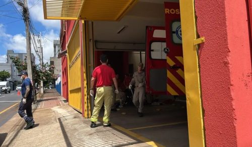 Bebê de sete meses morre após passar mal em casa em Apucarana Bebê de sete meses morre após passar mal em casa em Apucarana