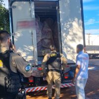 Tentativa de assalto a carga de carnes termina com homem baleado na BR-277 Imagem referente a Tentativa de assalto a carga de carnes termina com homem baleado na BR-277