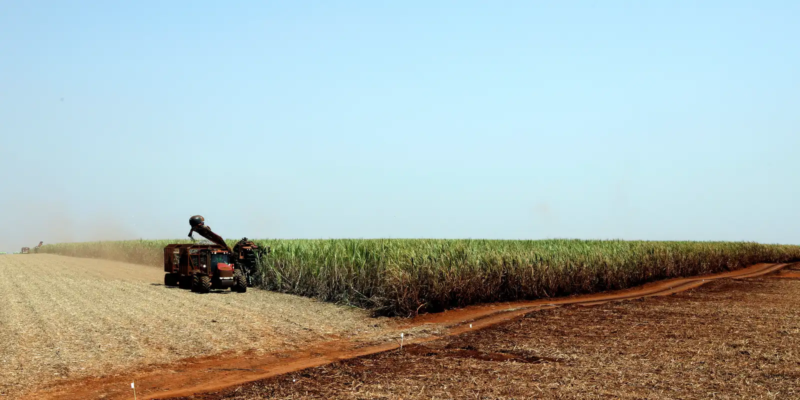 IBGE prevê safra recorde de 346 milhões de toneladas em 2025 IBGE prevê safra recorde de 346 milhões de toneladas em 2025