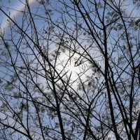 Imagem referente a Foz do Iguaçu registra 39.3°C e entra no ranking das maiores temperaturas de 2026 no Paraná