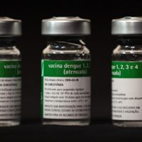 Botucatu inicia domingo vacinação em massa contra a dengue Imagem referente a Botucatu inicia domingo vacinação em massa contra a dengue