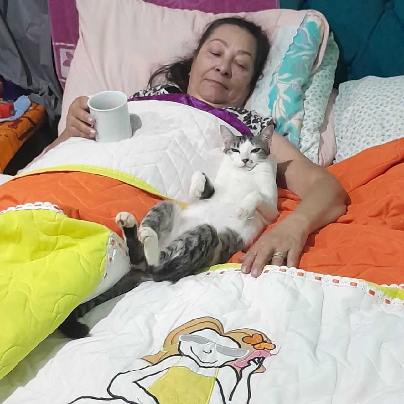 Gata desapareceu no bairro Universitário