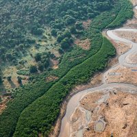 Imagem referente a Dezesseis projetos concorrem em edital para restauração da Amazônia