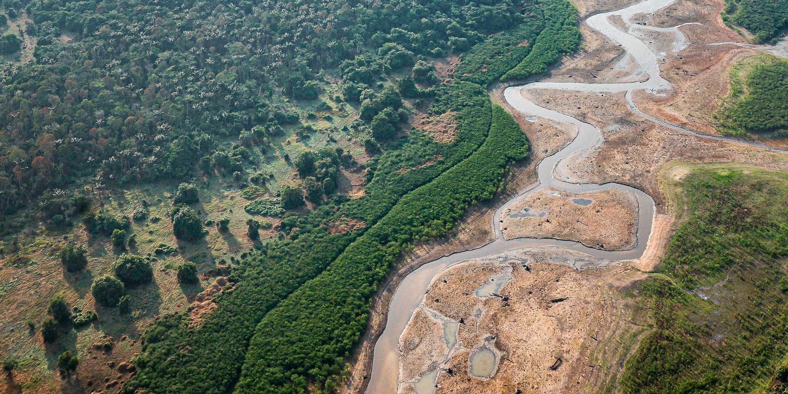Dezesseis projetos concorrem em edital para restauração da Amazônia