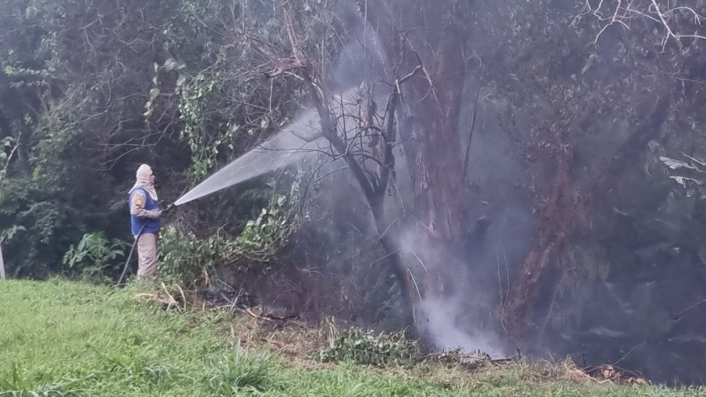 Corpo de Bombeiros combate incêndio ambiental no Cancelli Corpo de Bombeiros combate incêndio ambiental no Cancelli