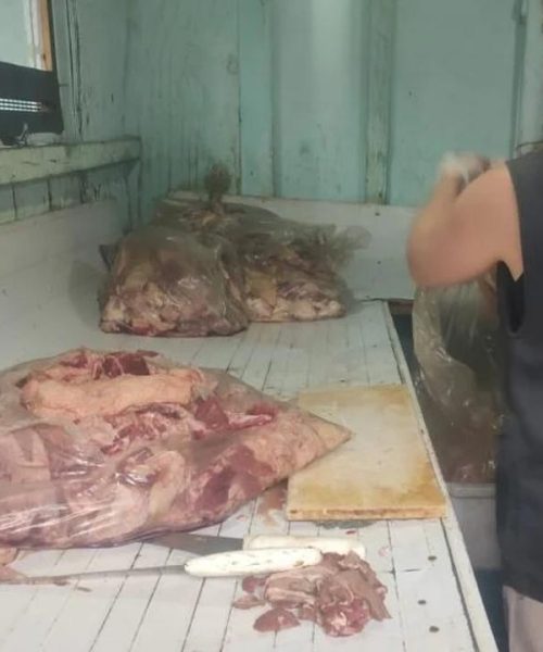 Imagem referente a Açougue clandestino que reaproveitava carne podre é descoberto no Paraná