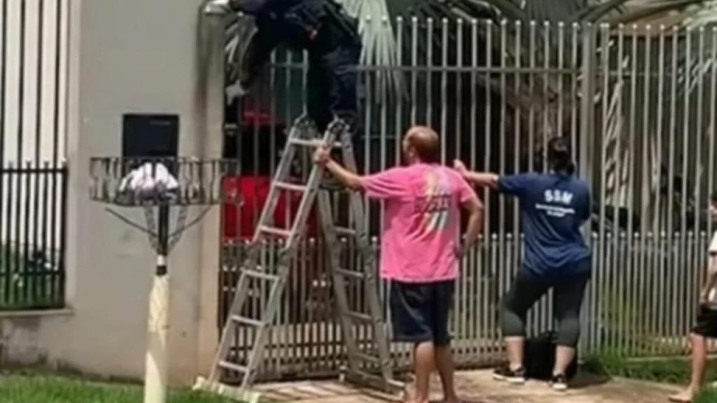 Após denúncias, cachorro é encontrado morto em residência