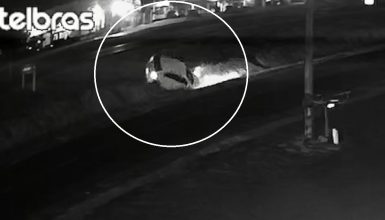 Imagem referente a Vídeo mostra Gol rodando na pista e caindo em canaleta da BR-277 em Cascavel