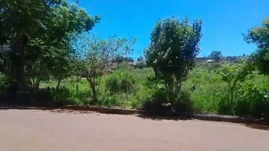 Moradores do Morumbi reclamam de mato alto e temem presença de animais peçonhentos