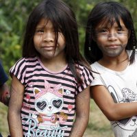 Ministério aperfeiçoa monitoramento de saúde de crianças indígenas Imagem referente a Ministério aperfeiçoa monitoramento de saúde de crianças indígenas