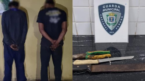 Furto de fios de telefonia mobiliza Guarda Municipal no bairro Santa Cruz Furto de fios de telefonia mobiliza Guarda Municipal no bairro Santa Cruz