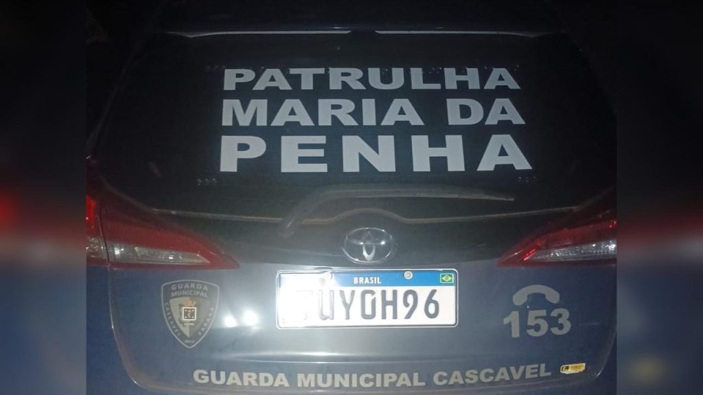 Briga sobre uso de cadeirinha e agressão levou mulher a se jogar de carro com filho em Cascavel, diz GM
