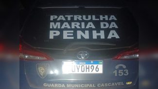 Briga sobre uso de cadeirinha e agressão levou mulher a se jogar de carro com filho em Cascavel, diz GM