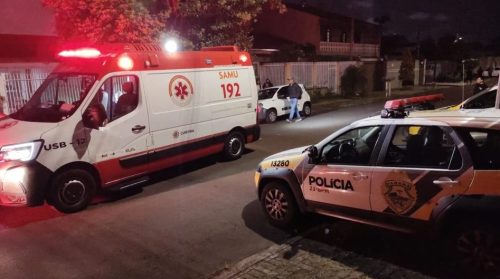 Homem mata o irmão, fere a sobrinha e tira a própria vida no Paraná Homem mata o irmão, fere a sobrinha e tira a própria vida no Paraná