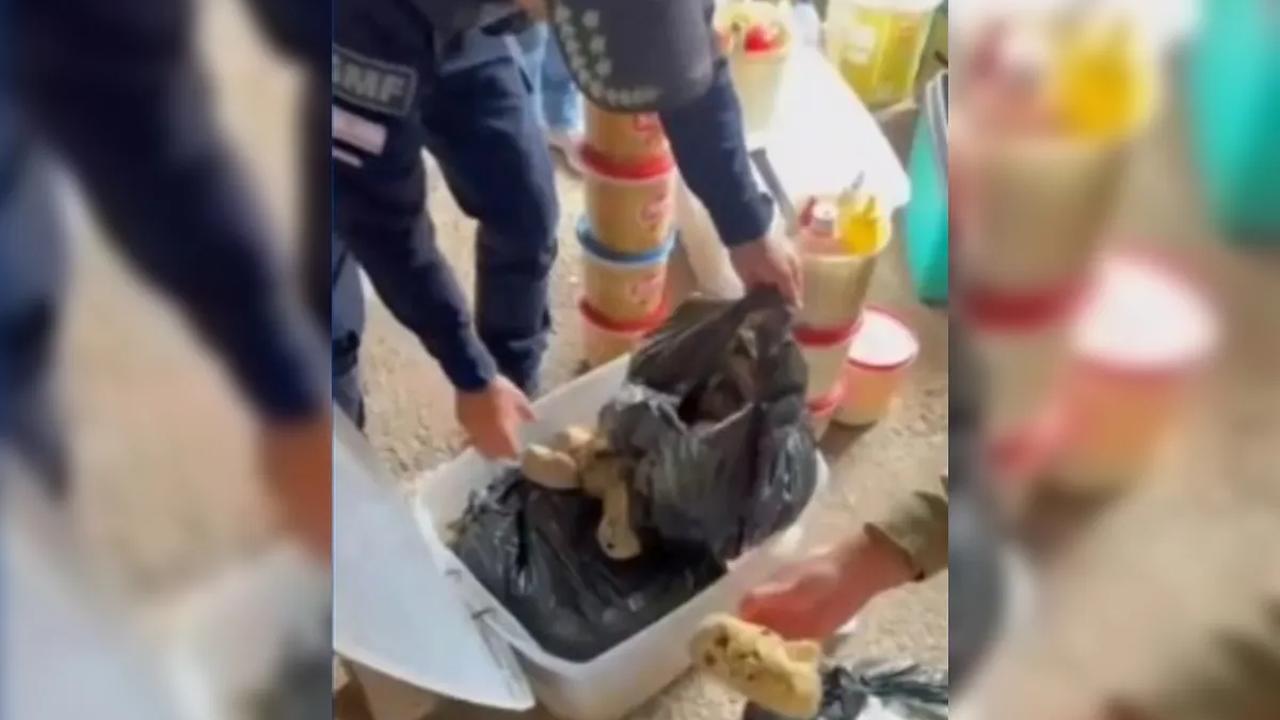 Baratas e alimentos embaixo de cama: cozinha clandestina é interditada em praia de SC Baratas e alimentos embaixo de cama: cozinha clandestina é interditada em praia de SC