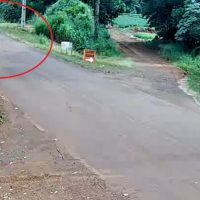 Imagem referente a Imagens fortes: Câmera registra capotamento que terminou em morte na Estrada Alto São Salvador