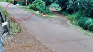 Imagens fortes: Câmera registra capotamento que terminou em morte na Estrada Alto São Salvador