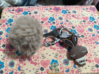 Foi encontrada uma chave no bairro Santa Cruz