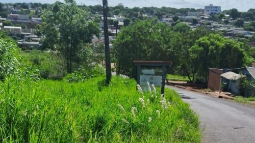 Denúncia aponta mato alto, presença de animais peçonhentos e risco a moradores no Morumbi