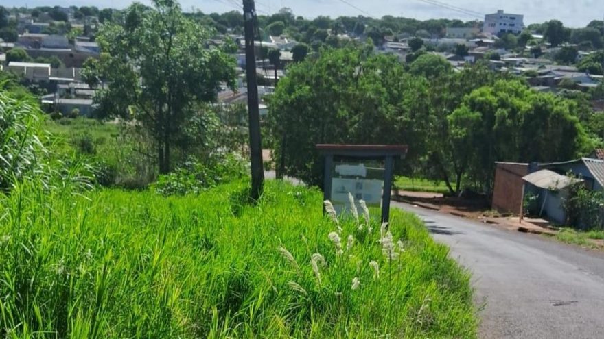 Denúncia aponta mato alto, presença de animais peçonhentos e risco a moradores no Morumbi