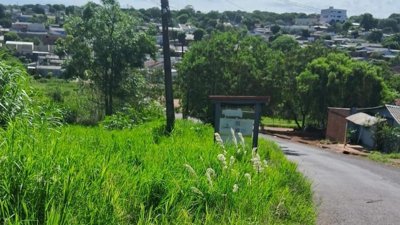 Denúncia aponta mato alto, presença de animais peçonhentos e risco a moradores no Morumbi
